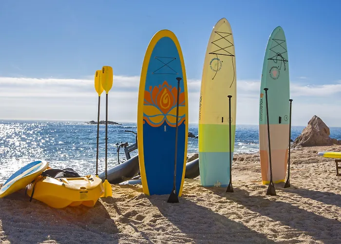Hotel Chileno Bay & Residences, Collection