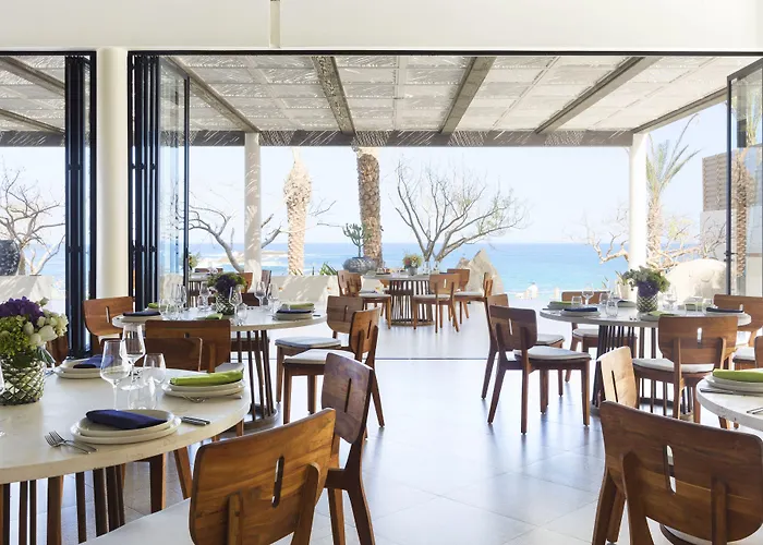 Hotel Chileno Bay & Residences, Collection